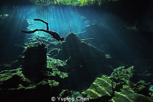 Freediver/ Cenote diving at Kukulcan, Tulum, Mexico. Cano... by Yuping Chen 